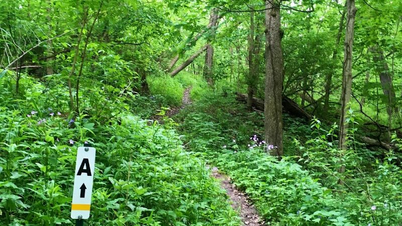 Meadow Valley Park & Dog Park - Washington, IL