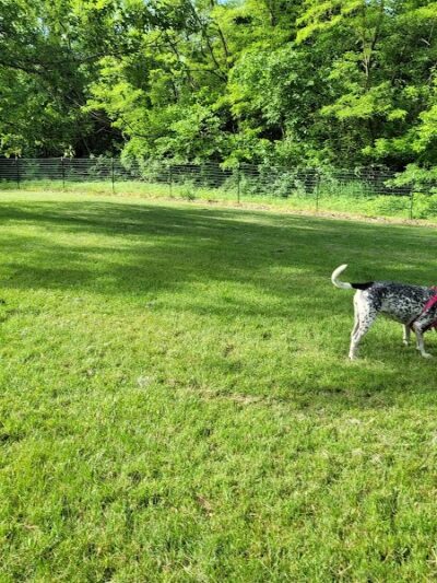 Meadow Valley Park & Dog Park - Washington, IL