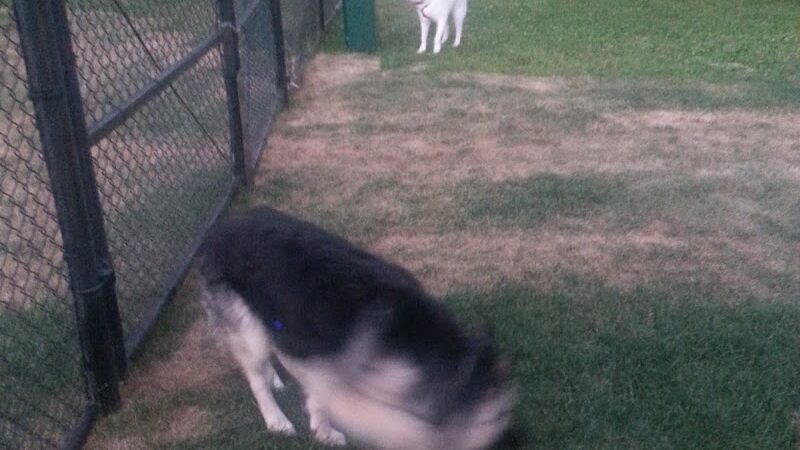 Meadow Valley Park & Dog Park - Washington, IL