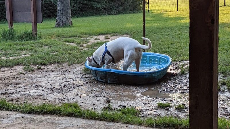 Meadow Valley Park & Dog Park - Washington, IL