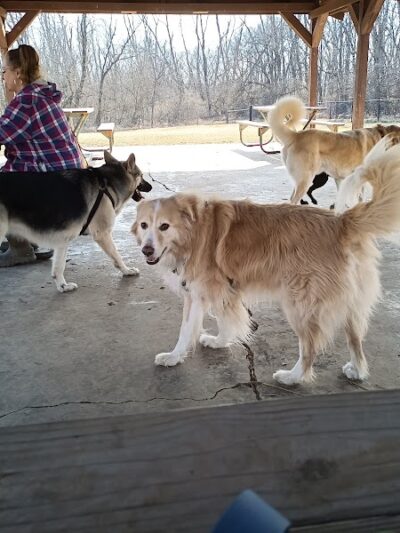 Meadow Valley Park & Dog Park - Washington, IL