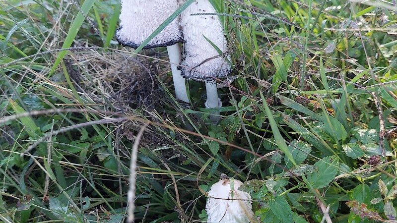 Rotary Riverfront Trails - Washington, MO