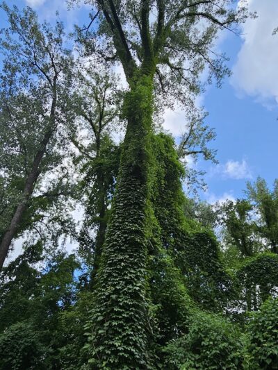 Rotary Riverfront Trails - Washington, MO