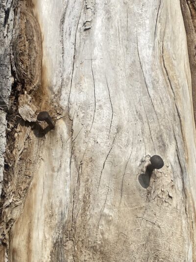 Rotary Riverfront Trails - Washington, MO