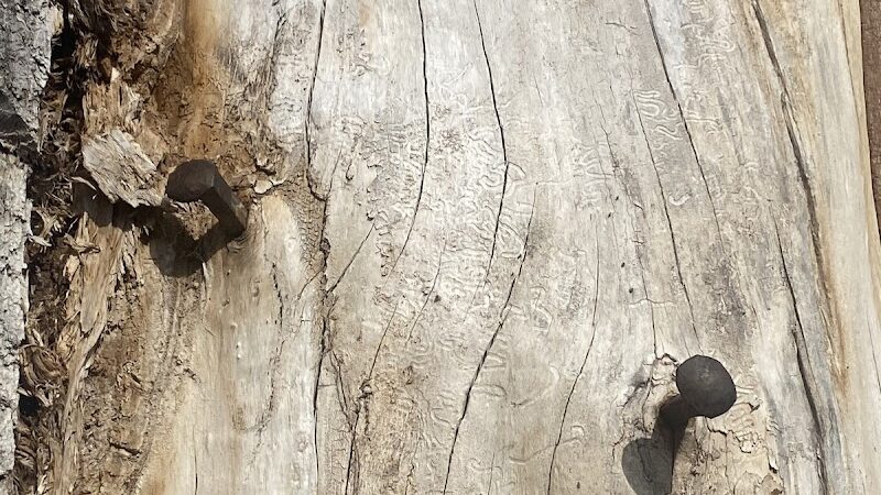 Rotary Riverfront Trails - Washington, MO