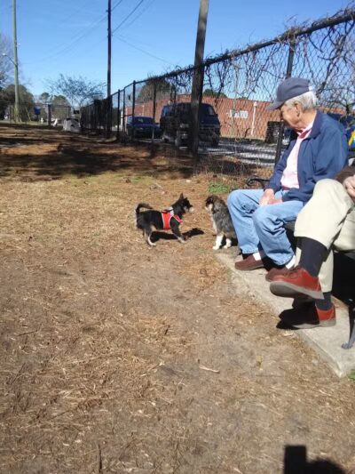 Dog Park - Washington, NC