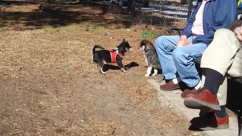 Dog Park - Washington, NC