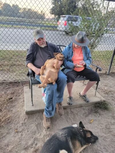 Dog Park - Washington, NC
