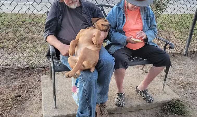 Dog Park - Washington, NC