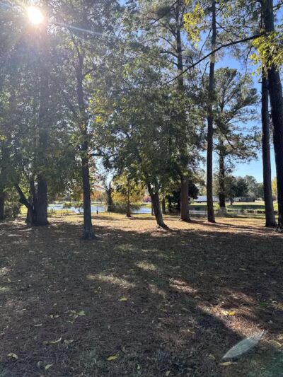 Dog Park - Washington, NC