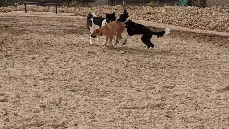 Dog Town Dog Park - Washington, UT
