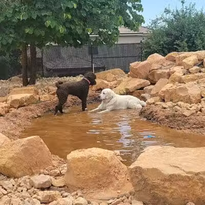 Dog Town Dog Park - Washington, UT