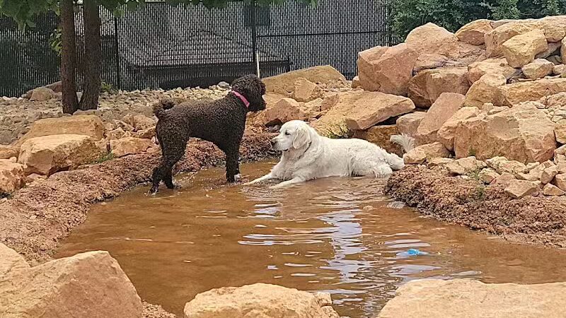 Dog Town Dog Park - Washington, UT