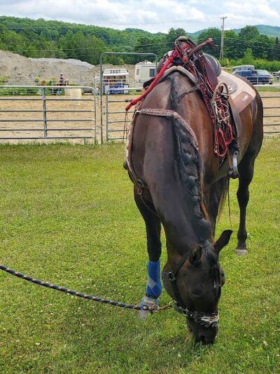 Carpenter Park - Washington, VT