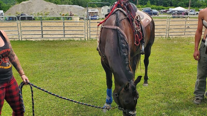 Carpenter Park - Washington, VT