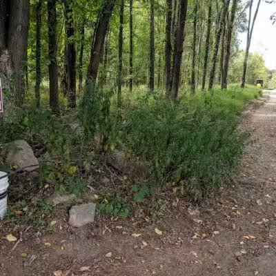 Woofingtonville Dog Park - Washingtonville, NY