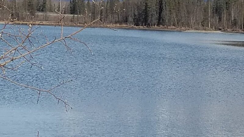 Palmer Hay Flats State Game Refuge - Wasilla, AK
