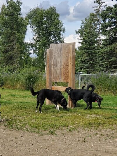Lake Lucille Dog Park - Wasilla, AK