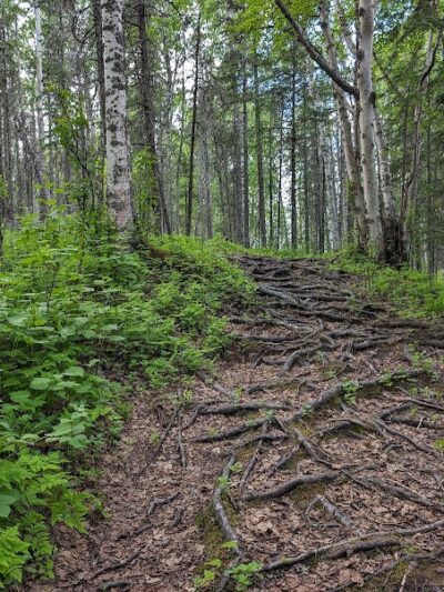 Lake Lucille Dog Park - Wasilla, AK