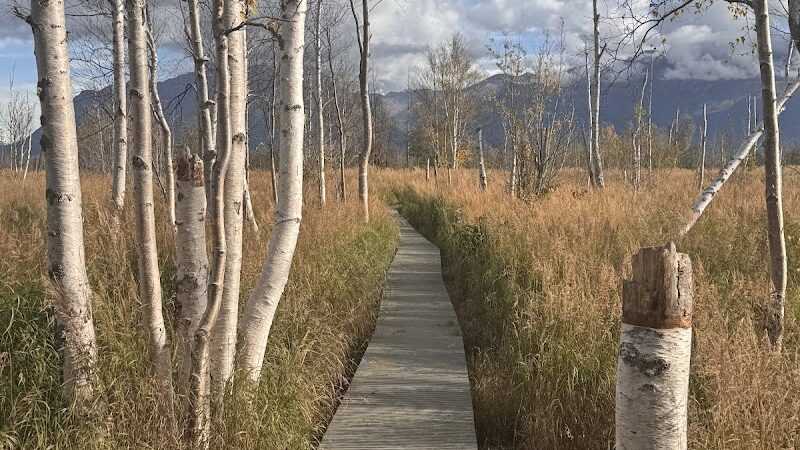 Wasilla Creek Boardwalk Trail - Wasilla, AK