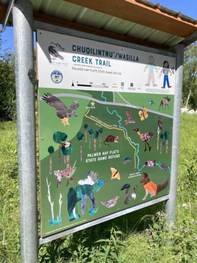 Wasilla Creek Boardwalk Trail - Wasilla, AK