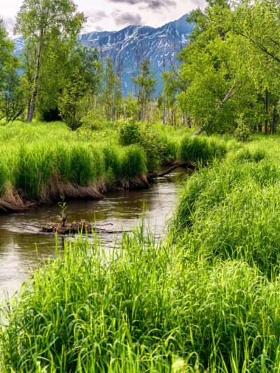 Wasilla Creek Boardwalk Trail - Wasilla, AK