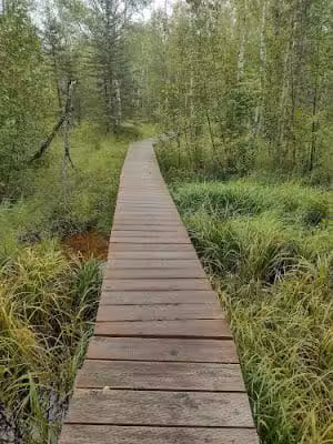 Wasilla Creek Boardwalk Trail - Wasilla, AK
