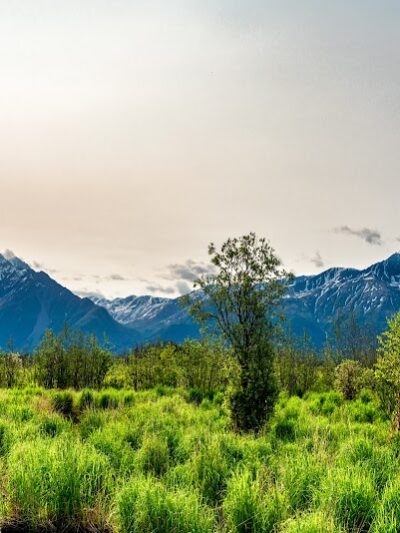 Wasilla Creek Boardwalk Trail - Wasilla, AK