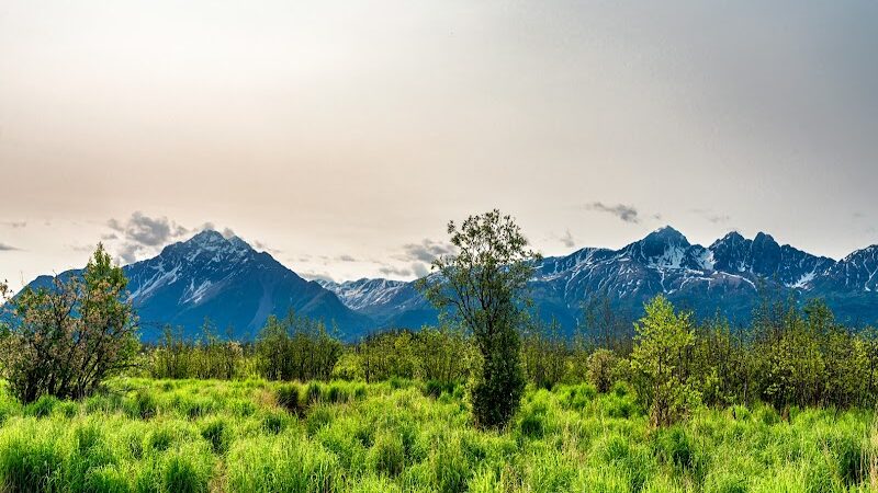 Wasilla Creek Boardwalk Trail - Wasilla, AK