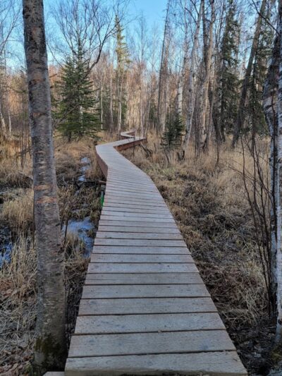 Wasilla Creek Boardwalk Trail - Wasilla, AK