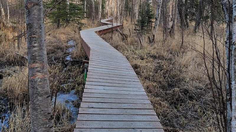 Wasilla Creek Boardwalk Trail - Wasilla, AK