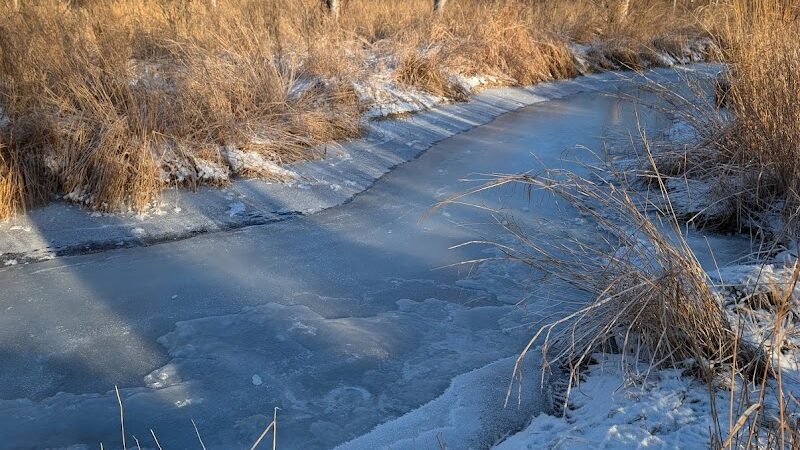 Wasilla Creek Boardwalk Trail - Wasilla, AK