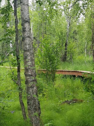 Wasilla Creek Boardwalk Trail - Wasilla, AK