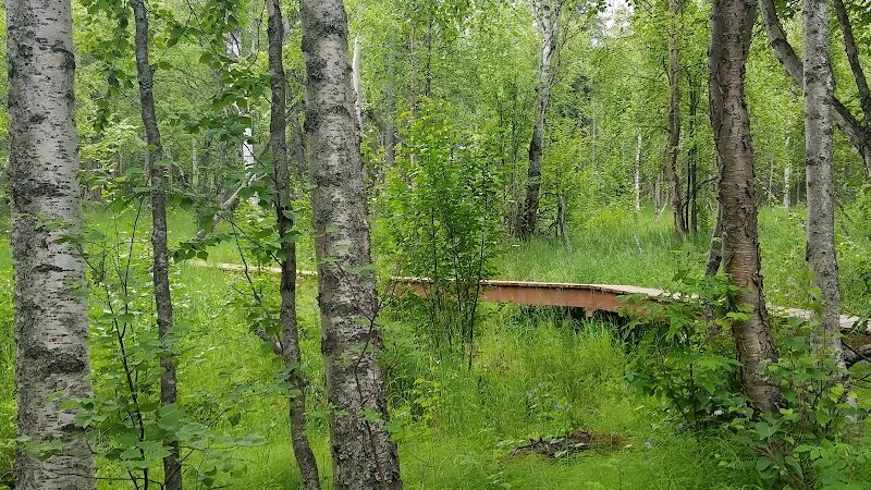 Wasilla Creek Boardwalk Trail - Wasilla, AK