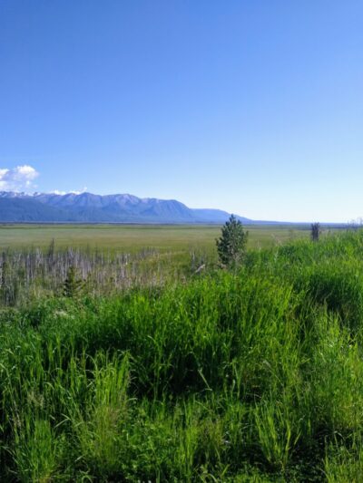 Wasilla Creek Boardwalk Trail - Wasilla, AK