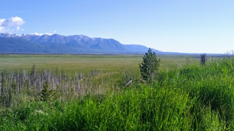 Wasilla Creek Boardwalk Trail - Wasilla, AK