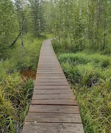 Wasilla Creek Boardwalk Trail - Wasilla, AK