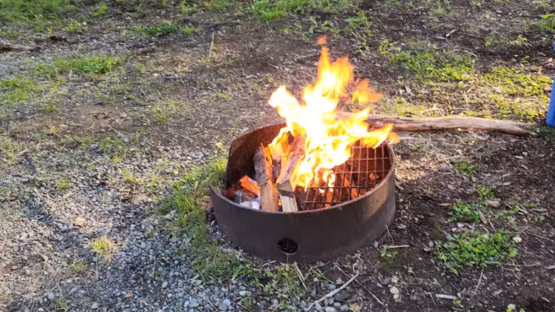 Lake Lucille Dog Park - Wasilla, AK
