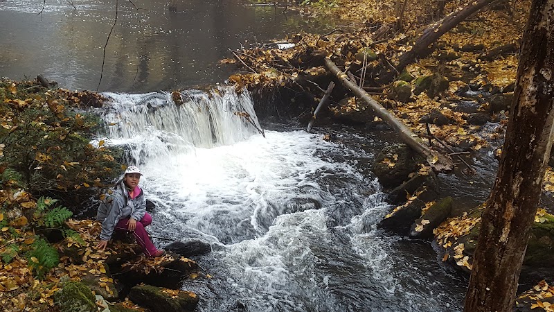 Blue Stone Quarry - Waterbury, CT