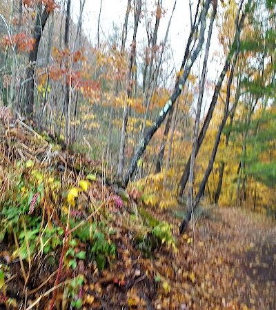 Blue Stone Quarry - Waterbury, CT