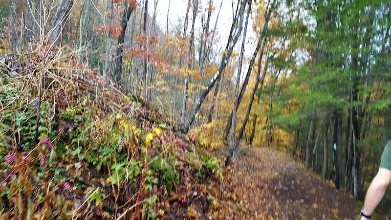 Blue Stone Quarry - Waterbury, CT