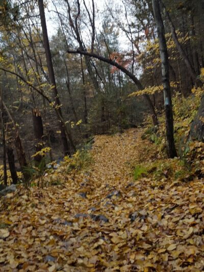 Blue Stone Quarry - Waterbury, CT