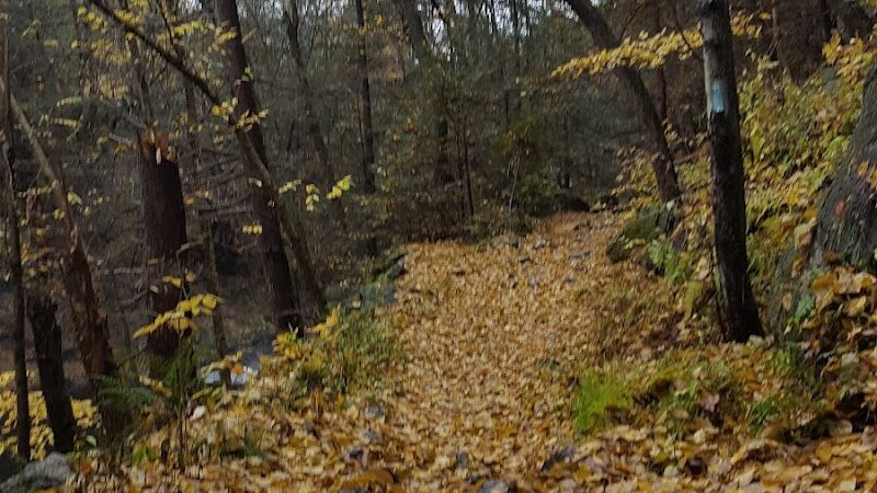 Blue Stone Quarry - Waterbury, CT