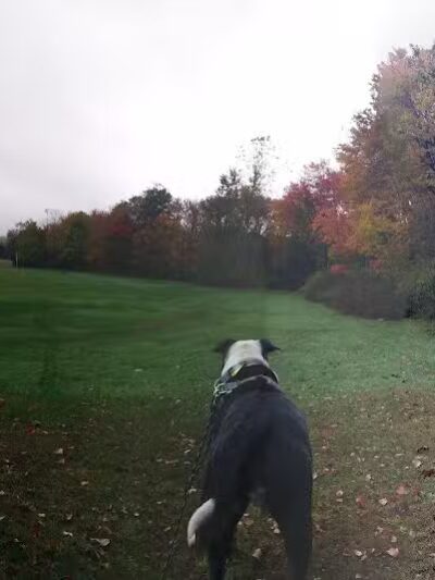 Bucks Hill Park - Waterbury, CT
