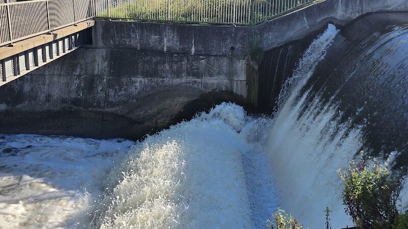 Bunker Hill Park - Waterbury, CT