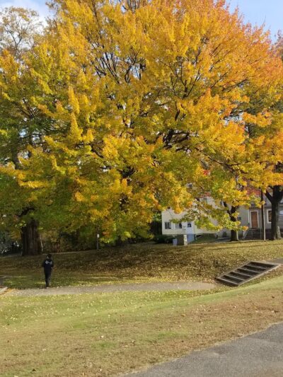 Chase Park - Waterbury, CT