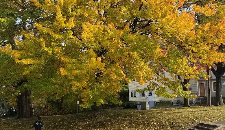 Chase Park - Waterbury, CT