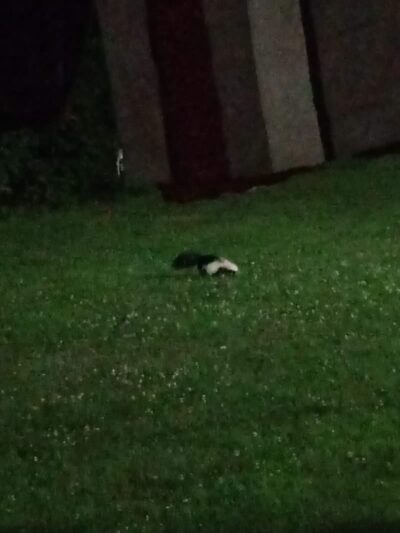 Curtin Park - Waterbury, CT