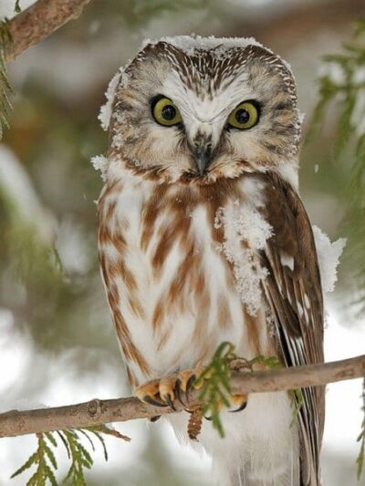 Curtin Park - Waterbury, CT