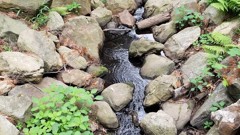Fulton Park - Waterbury, CT
